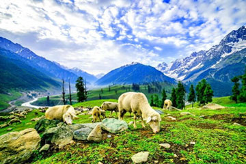 Srinagar, Vaishno Devi, Amritsar